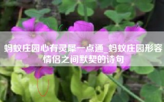 蚂蚁庄园心有灵犀一点通_蚂蚁庄园形容情侣之间默契的诗句