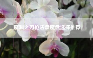 魔渊之刃枪法盘魔盘选择推荐