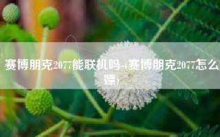 赛博朋克2077能联机吗-(赛博朋克2077怎么嫖)