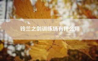 铃兰之剑训练场有什么用