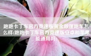 跑跑卡丁车官方竞速版黄金敞篷跑车怎么样(跑跑卡丁车官方竞速版安卓和苹果能通用吗)