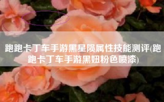 跑跑卡丁车手游黑星陨属性技能测评(跑跑卡丁车手游黑妞粉色喷漆)