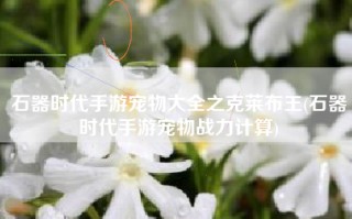 石器时代手游宠物大全之克莱布王(石器时代手游宠物战力计算)
