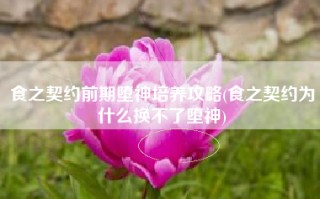 食之契约前期堕神培养攻略(食之契约为什么换不了堕神)