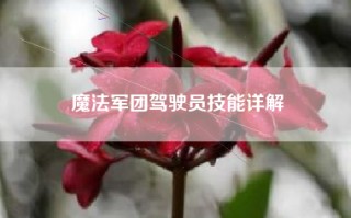 魔法军团驾驶员技能详解