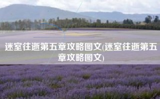 迷室往逝第五章攻略图文(迷室往逝第五章攻略图文)