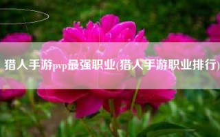 猎人手游pvp最强职业(猎人手游职业排行)