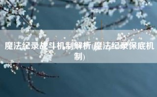 魔法纪录战斗机制解析(魔法纪录保底机制)