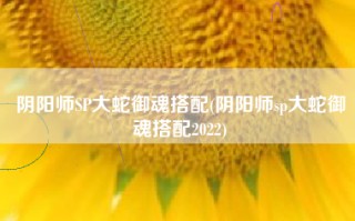 阴阳师SP大蛇御魂搭配(阴阳师sp大蛇御魂搭配2022)