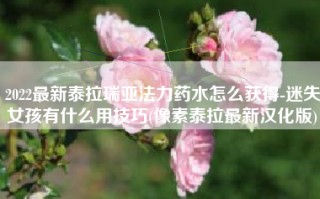 2022最新泰拉瑞亚法力药水怎么获得-迷失女孩有什么用技巧(像素泰拉最新汉化版)
