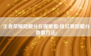 王者荣耀隐藏分在哪里看(排位赛隐藏分查看方法)