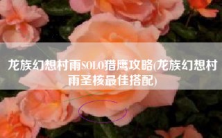 龙族幻想村雨SOLO猎鹰攻略(龙族幻想村雨圣核最佳搭配)