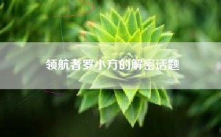 领航者罗小方的解密话题