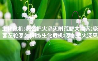 生化危机3怎么把火浇灭附荒野大镖客2豪客左轮怎么解锁(生化危机3怎么把火浇灭)