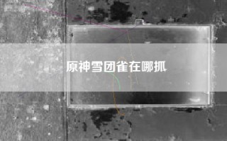 原神雪团雀在哪抓