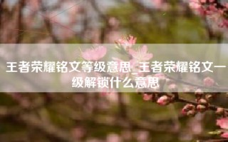 王者荣耀铭文等级意思_王者荣耀铭文一级解锁什么意思