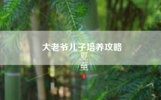 大老爷儿子培养攻略