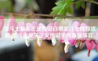 圣斗士星矢正义传说白银圣斗士推荐攻略(圣斗士星矢正义传说平民最强阵容)