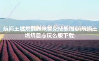 航海王燃烧意志米霍克技能加点(航海王燃烧意志玩么版下载)