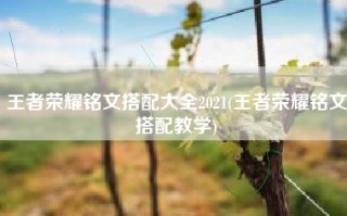 王者荣耀铭文搭配大全2021(王者荣耀铭文搭配教学)
