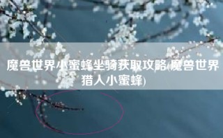 魔兽世界小蜜蜂坐骑获取攻略(魔兽世界猎人小蜜蜂)