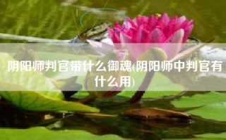 阴阳师判官带什么御魂(阴阳师中判官有什么用)