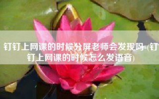 钉钉上网课的时候分屏老师会发现吗-(钉钉上网课的时候怎么发语音)