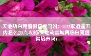 天地劫白菀值得培养吗附：2022李逍遥五内怎么加点攻略(天地劫幽城再临白菀值得培养吗)
