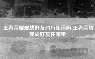 王者荣耀观战好友对方知道吗(王者荣耀观战好友在哪里)