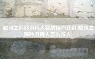 黎明之海吟游诗人实战技巧介绍(黎明之海吟游诗人怎么救人)
