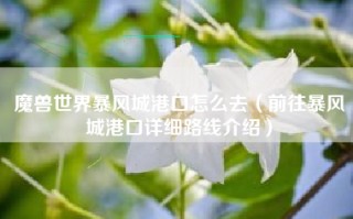 魔兽世界暴风城港口怎么去（前往暴风城港口详细路线介绍）