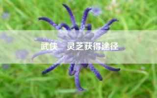 武侠乂灵芝获得途径