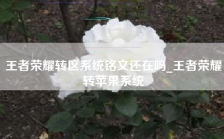 王者荣耀转区系统铭文还在吗_王者荣耀转苹果系统
