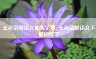 王者荣耀铭文抽奖免费_王者荣耀铭文不能抽奖了