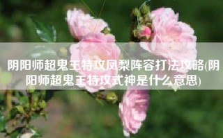 阴阳师超鬼王特攻凤梨阵容打法攻略(阴阳师超鬼王特攻式神是什么意思)
