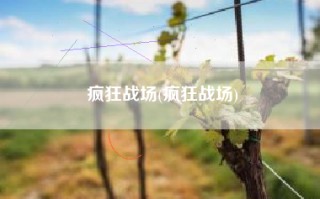疯狂战场(疯狂战场)