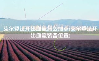 艾尔登法环出血流怎么加点(艾尔登法环出血流装备位置)