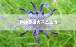 通神英雄火龙怎么得