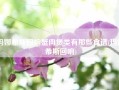 玛娜希斯回响蟹肉煲类有那些食谱(玛娜希斯回响)