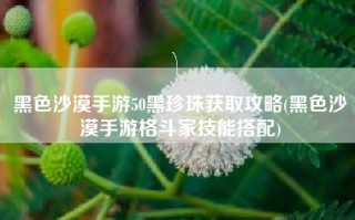 黑色沙漠手游50黑珍珠获取攻略(黑色沙漠手游格斗家技能搭配)