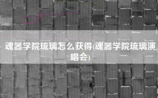 魂器学院琉璃怎么获得(魂器学院琉璃演唱会)