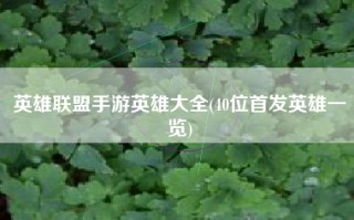 英雄联盟手游英雄大全(40位首发英雄一览)
