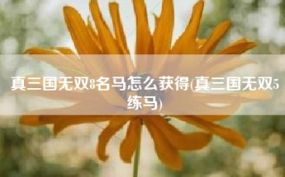 真三国无双8名马怎么获得(真三国无双5练马)