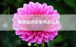 原神猛攻式审判怎么打