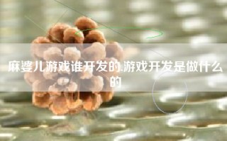 麻婆儿游戏谁开发的,游戏开发是做什么的