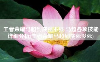 王者荣耀马超到底强不强 马超各项技能详细分析(王者荣耀马超到底死没死)