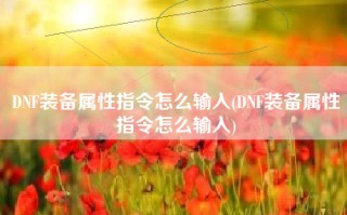 DNF装备属性指令怎么输入(DNF装备属性指令怎么输入)