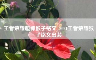 王者荣耀超神猴子铭文_2021王者荣耀猴子铭文出装