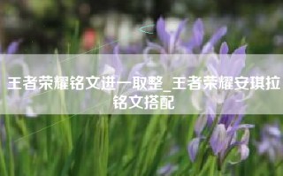 王者荣耀铭文进一取整_王者荣耀安琪拉铭文搭配