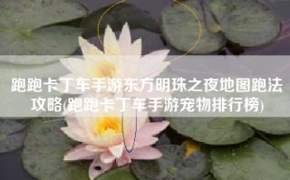 跑跑卡丁车手游东方明珠之夜地图跑法攻略(跑跑卡丁车手游宠物排行榜)